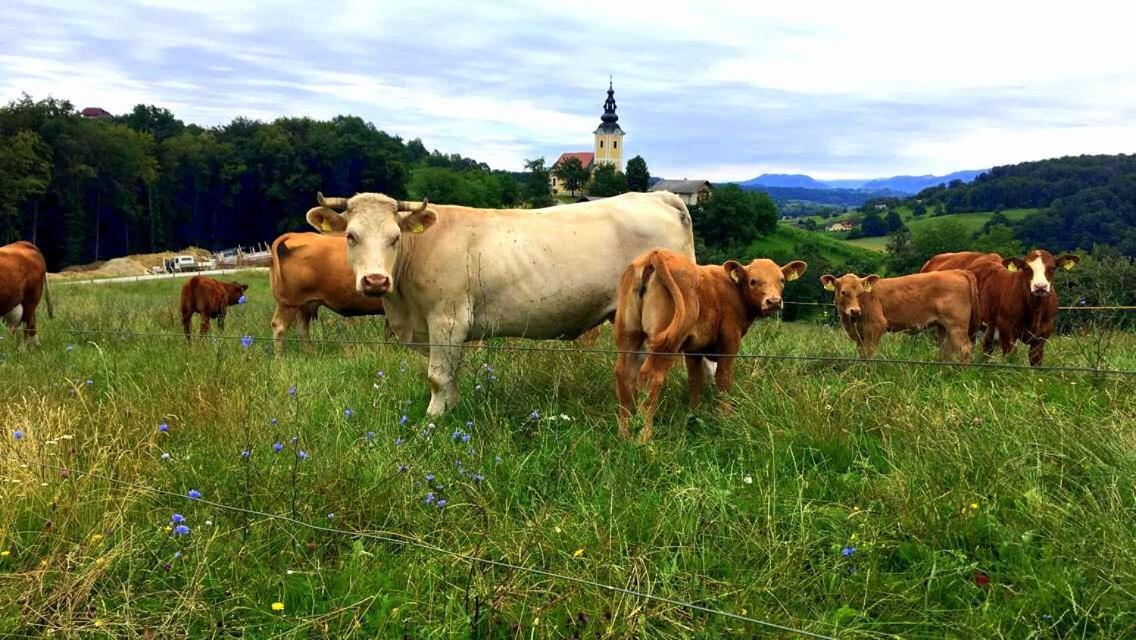 Apartments Jozetov Gric - Farm Stay Podčetrtek Exteriör bild